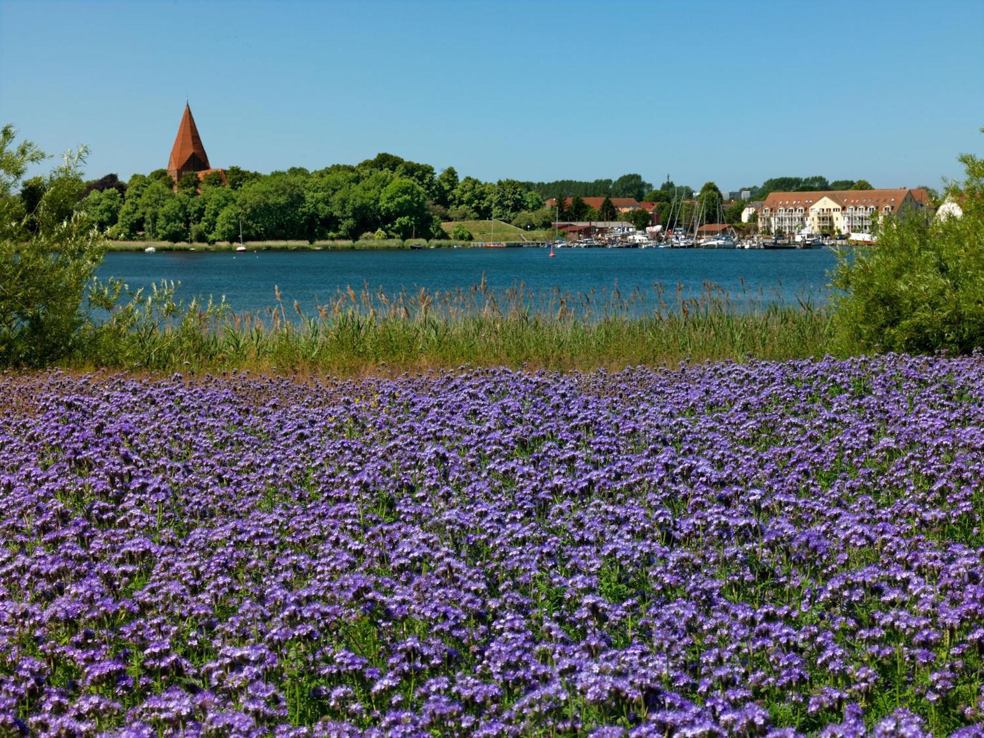 Einhusen Gute Stube Apartman Insel Poel Kültér fotó